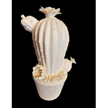 LE05 - Cactus - cm.23 LE05 - Cactus - cm.23