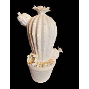 LE05 - Cactus - cm.23