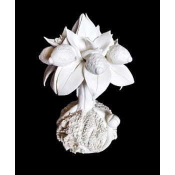 LE07 - Piantina limoni - cm.15