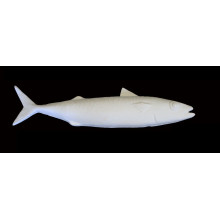 TB P289 - Pesce sgombro - cm. 26.5 TB P289 - Pesce sgombro - cm. 26.5