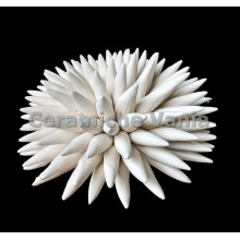 TB R017/15 - Riccio di mare - cm.15 TB R017/15 - Riccio di mare - cm.15