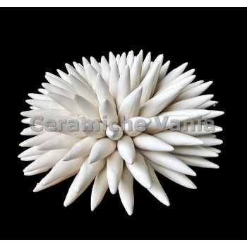 TB R017/20 - Riccio di mare - cm.20