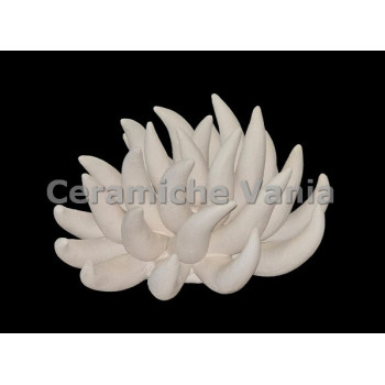 TB R019 - Anemone - cm.12