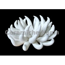 TB R021/15 - Anemone porta candela - cm.15 TB R021/15 - Anemone porta candela - cm.15