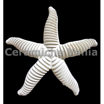 TB S157/G - Stella marina onde da appendere - cm.22