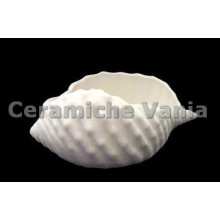 TB C105/M - Conchiglia chiusa - cm.26 TB C105/M - Conchiglia chiusa - cm.26