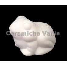 TB R006 - Rana - cm. TB R006 - Rana - cm.