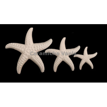 TB S144/G - Stella marina da appendere - cm.21