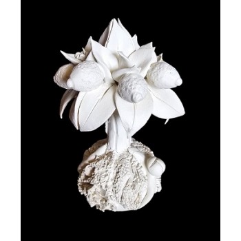 LE07 - Piantina limoni - cm.15