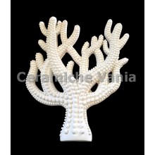 TB C224/M - Albero corallo puntinato - cm.20
