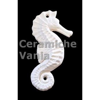 TB C225/M - Cavalluccio marino puntinato - cm. 18