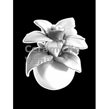 TB P280/P - Piantina stella di natale - cm.piccola