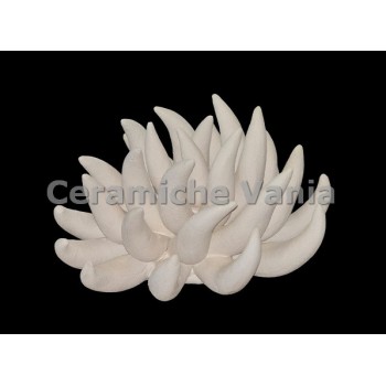 TB R019 - Anemone - cm.12