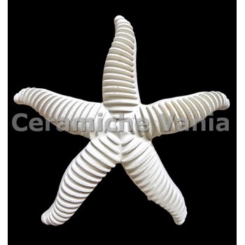TB S157/M - Stella marina onde da appendere - cm.18