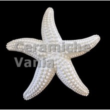 TB S158/G - Stella marina puntinata da appendere - cm.22