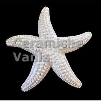 TB S158/P - Stella marina puntinata da appendere - cm.11