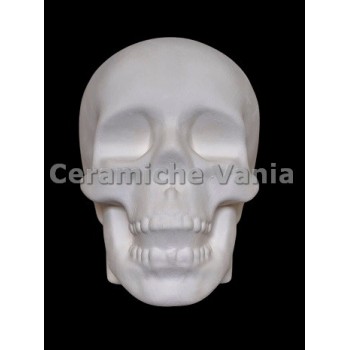 TB T090 - Teschio - cm 13h