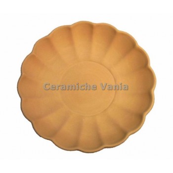 B003/15 - Bacellato / 15.cm