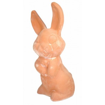 GA003 - Coniglio terra da esterno