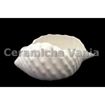 TB C105/M - Conchiglia chiusa - cm.26