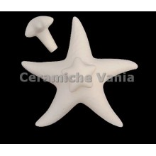 TB P235 - Starfish perfumer – cm 13