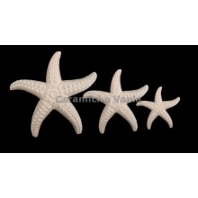 TB S144/G - Stella marina da appendere - cm.21